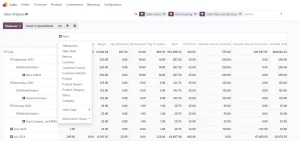 Odoo ERP- Pivot table
