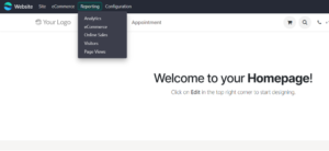 How to Use Website Analytics in Odoo 19 to Improve Performance