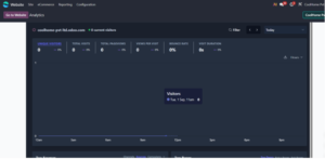 How to Use Website Analytics in Odoo 19 to Improve Performance