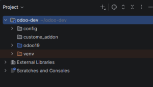 Odoo 19 Module Structure