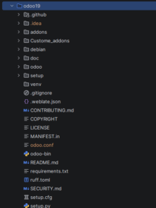 Odoo 19 Module Structure
